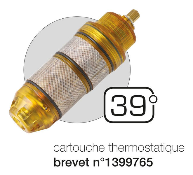 Cartouche thermostatique